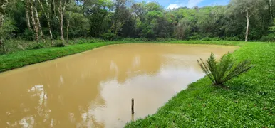 Fazenda / Sítio / Chácara com 3 Quartos à venda, 17000m² no Campestre dos Paulas, Mandirituba - Foto 16