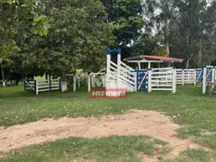 Fazenda / Sítio / Chácara à venda no Zona Rural, Vila Propício - Foto 1
