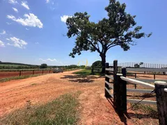 Fazenda / Sítio / Chácara à venda, 2000m² no Rural, Nova Granada - Foto 50