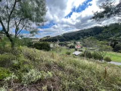 Terreno / Lote / Condomínio à venda, 13000m² no Vale dos Vinhedos, Bento Gonçalves - Foto 48
