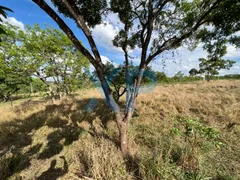 Fazenda / Sítio / Chácara com 2 Quartos à venda, 1500m² no Zona Rural, Carmo do Cajuru - Foto 25