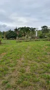 Fazenda / Sítio / Chácara com 4 Quartos à venda, 40000m² no Sousas, Campinas - Foto 31