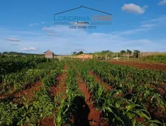 Terreno / Lote / Condomínio à venda, 2500m² no Zona Rural, Ibiporã - Foto 3