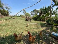 Fazenda / Sítio / Chácara com 2 Quartos à venda, 400m² no Jardim Santo Antônio, Boituva - Foto 23