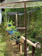 Fazenda / Sítio / Chácara com 4 Quartos à venda, 335m² no Jardim Flamboyant, Boituva - Foto 26
