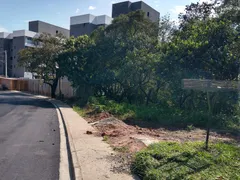 Terreno / Lote / Condomínio à venda, 4852m² no Jardim Pioneiro , Cotia - Foto 3