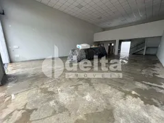 Galpão / Depósito / Armazém à venda, 220m² no Jardim Holanda, Uberlândia - Foto 5