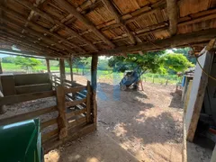 Fazenda / Sítio / Chácara com 3 Quartos à venda, 230m² no Zona Rural, São Sebastião do Oeste - Foto 53