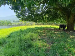 Fazenda / Sítio / Chácara à venda, 75000m² no Ilha de Guaratiba, Rio de Janeiro - Foto 10