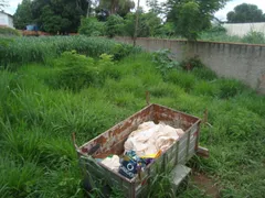 Terreno / Lote / Condomínio à venda no Santa Cruz II, Cuiabá - Foto 4