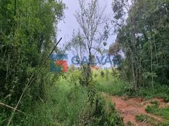 Fazenda / Sítio / Chácara com 10 Quartos à venda, 1250m² no Ivoturucaia, Jundiaí - Foto 29