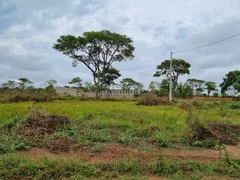 Terreno / Lote / Condomínio à venda no , Santo Antônio do Leverger - Foto 8