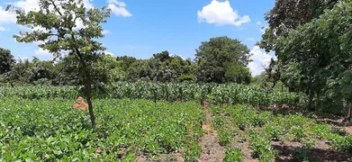 Fazenda / Sítio / Chácara com 3 Quartos à venda, 4500m² no Area Rural do Paranoa, Brasília - Foto 37