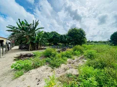 Terreno / Lote / Condomínio para venda ou aluguel, 3000m² no Zona Rural, Pindoretama - Foto 5