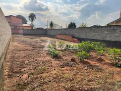 Terreno / Lote / Condomínio à venda, 420m² no Vila Santa Isabel, Campinas - Foto 3