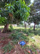 Terreno / Lote Comercial à venda, 6364m² no Chácaras Buritis, Goiânia - Foto 3