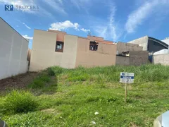 Terreno / Lote Comercial à venda, 250m² no Nova Vinhedo, Vinhedo - Foto 6