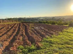 Fazenda / Sítio / Chácara com 4 Quartos à venda, 500m² no Reforma Agraria, Valinhos - Foto 5