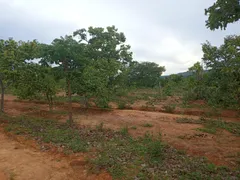 Fazenda / Sítio / Chácara à venda, 4210000m² no Goiaminas, Formoso - Foto 9