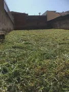 Terreno / Lote / Condomínio à venda, 250m² no Jardim Macedo, Ribeirão Preto - Foto 2