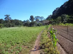 Fazenda / Sítio / Chácara com 3 Quartos à venda no Providencia, Teresópolis - Foto 4