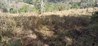 Fazenda / Sítio / Chácara com 3 Quartos à venda, 30000m² no Area Rural de Santo Antonio do Descoberto, Santo Antônio do Descoberto - Foto 2