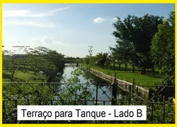 Fazenda / Sítio / Chácara com 6 Quartos à venda, 163200m² no Zona Rural, Conchal - Foto 19