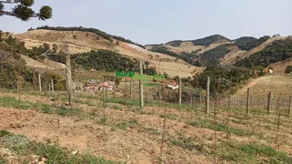 Fazenda / Sítio / Chácara à venda, 330000m² no Centro, Cristina - Foto 9