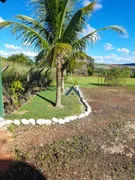 Fazenda / Sítio / Chácara com 3 Quartos à venda, 350m² no Limoeiro, Londrina - Foto 4