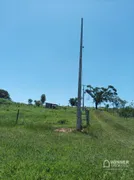 Fazenda / Sítio / Chácara à venda, 4695m² no , Cruzeiro do Oeste - Foto 9
