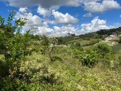 Terreno / Lote / Condomínio à venda, 10000m² no Vale dos Vinhedos, Bento Gonçalves - Foto 32