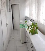 Apartamento com 4 Quartos à venda, 284m² no Vila Matilde, São Paulo - Foto 5