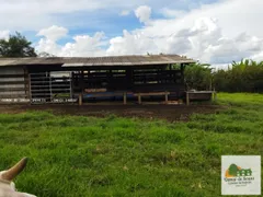 Fazenda / Sítio / Chácara com 6 Quartos à venda, 32000m² no Centro, Pereiras - Foto 21