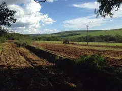 Fazenda / Sítio / Chácara com 4 Quartos à venda, 4259200m² no Rural, Silvânia - Foto 19