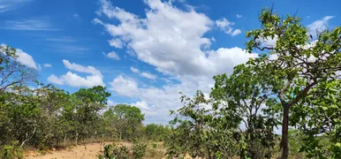 Fazenda / Sítio / Chácara à venda, 20000m² no Zona Rural, Baldim - Foto 12