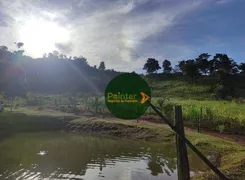 Fazenda / Sítio / Chácara com 2 Quartos à venda, 484000m² no Zona Rural, Heitoraí - Foto 10