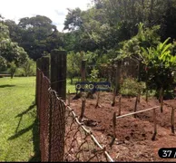 Fazenda / Sítio / Chácara com 9 Quartos à venda, 6000m² no Beiral das Pedras, Atibaia - Foto 11