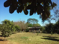 Fazenda / Sítio / Chácara com 2 Quartos à venda, 96800m² no Centro, Caldazinha - Foto 6