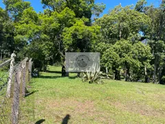 Fazenda / Sítio / Chácara com 1 Quarto à venda, 9700m² no Centro, Campo Alegre - Foto 12