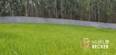 Terreno / Lote / Condomínio à venda, 1000m² no Centro, Paraibuna - Foto 1