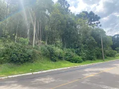 Terreno / Lote / Condomínio à venda, 7500m² no Varzea Grande, Gramado - Foto 5