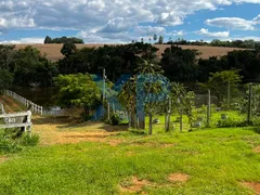 Fazenda / Sítio / Chácara com 3 Quartos à venda, 300m² no Zona Rural, São Sebastião do Oeste - Foto 41