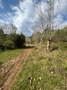 Terreno / Lote / Condomínio à venda, 160000m² no , Santa Tereza - Foto 23