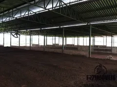 Fazenda / Sítio / Chácara com 7 Quartos à venda, 320m² no Zona Rural, Bela Vista de Goiás - Foto 9
