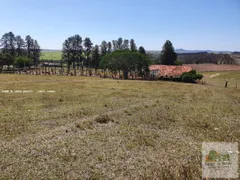 Fazenda / Sítio / Chácara com 4 Quartos à venda, 193600m² no Maristela, Laranjal Paulista - Foto 24