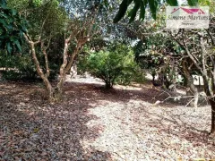 Fazenda / Sítio / Chácara com 6 Quartos à venda, 800m² no , Socorro - Foto 47