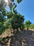 Fazenda / Sítio / Chácara com 2 Quartos à venda, 200m² no Marambaia, Caçapava - Foto 2