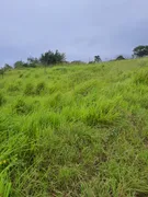 Fazenda / Sítio / Chácara com 4 Quartos à venda, 40000m² no Zona Rural, Monte Alegre - Foto 16