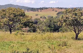 Fazenda / Sítio / Chácara com 3 Quartos à venda, 90m² no Zona Rural, Jaraguá - Foto 12