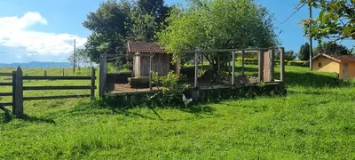 Fazenda / Sítio / Chácara com 4 Quartos à venda no Parque Residencial Alvorada, Caçapava - Foto 26